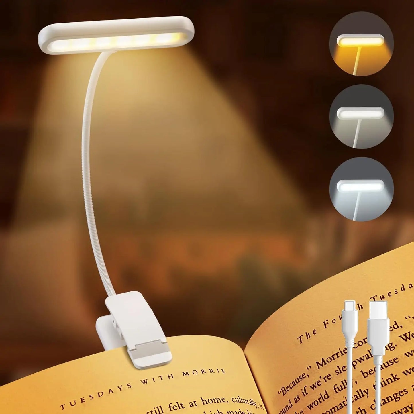 Flexible Reading Light